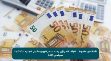 انخفاض ملحوظ.. البنك المركزي يحدد سعر اليورو مقابل الجنيه الثلاثاء 2 سبتمبر 2025